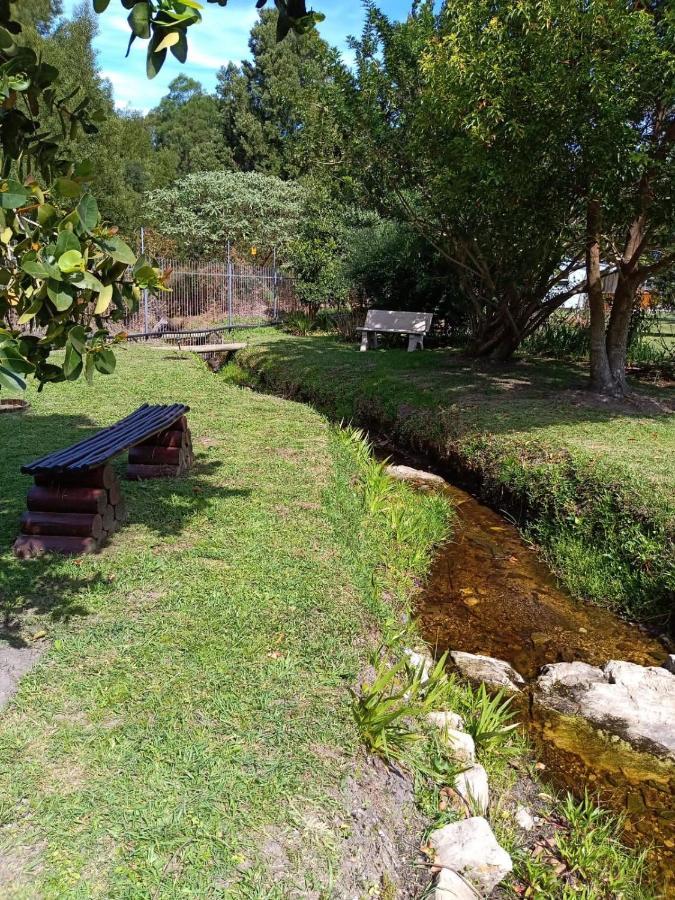 Nadine'S Self - Catering Accommodation Stormsrivier Εξωτερικό φωτογραφία